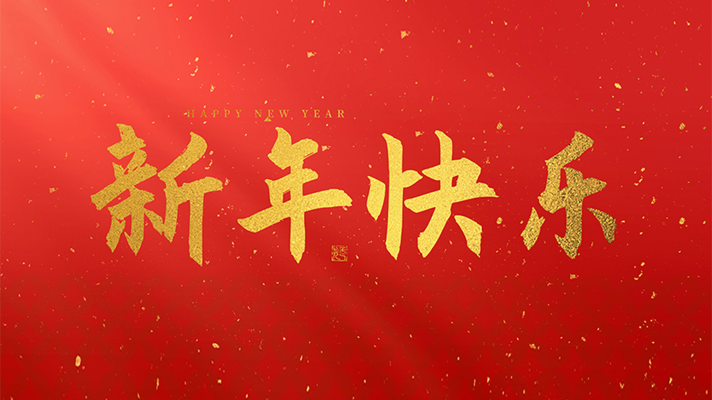 麗水市威儀自動化技術(shù)有限公司祝全國人民2025新年快樂！